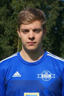 Fabio Strub